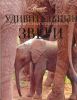 Книга Удивительные звери