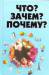 Книга Что? Зачем? Почему?