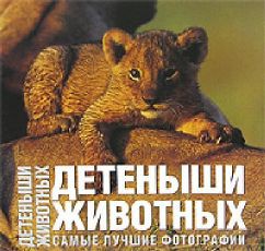Книга Детеныши животных. Самые лучшие фотографии