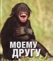 Книга Моему другу
