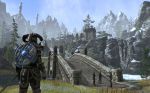 скриншот The Elder Scrolls Online PS4 #4