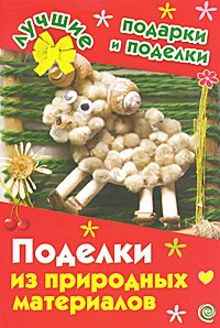 Книга Поделки из природных материалов