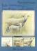 Книга Как научиться рисовать животных. Шаг за шагом