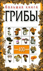 Книга Большая книга. Грибы