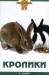 Книга Кролики