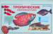 Книга Тропические аквариумные рыбки