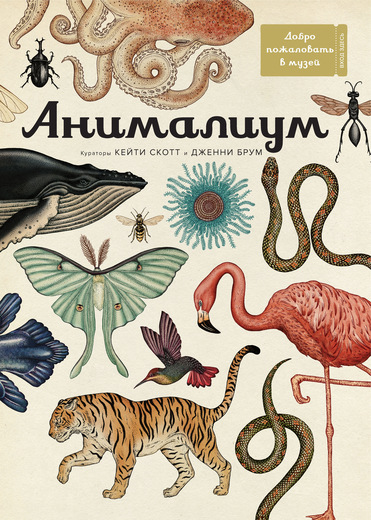 

Анималиум