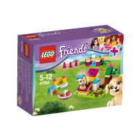 Конструктор LEGO Дресирування цуцика