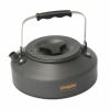 Чайник PINGUIN Kettle Alu