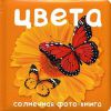 Книга Цвета