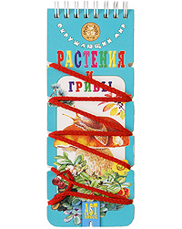 

Растения и грибы