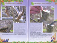 Книга Как прививать деревья по-умному