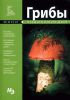 Книга Грибы. Мини-энциклопедия