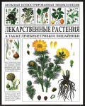 Книга Лекарственные растения