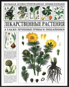 Книга Лекарственные растения