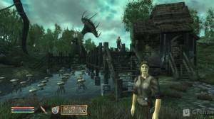 скриншот The Elder Scrolls IV: Shivering Isles #5