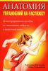 Книга Анатомия упражнений на растяжку