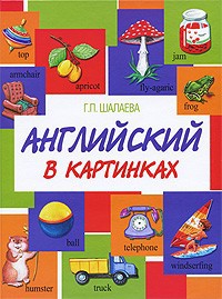 Книга Английский в картинках