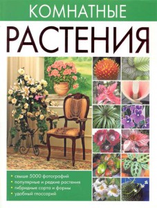 Книга Комнатные растения