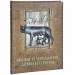 Книга Мифы и предания Древнего Рима
