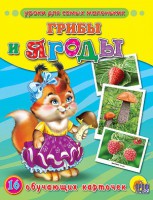 Книга Грибы и ягоды. 16 обучающих карточек