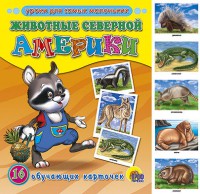 Книга Обучающие карточки 'Животные Северной Америки'