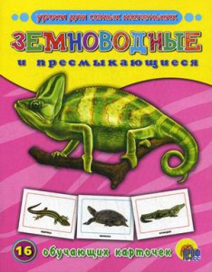 Книга Земноводные и пресмыкающиеся. 16 обучающих карточек
