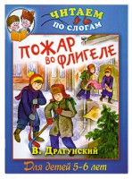 Книга Пожар во флигеле