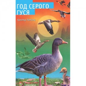 Книга Год серого гуся