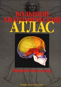 Книга Большой атлас по анатомии