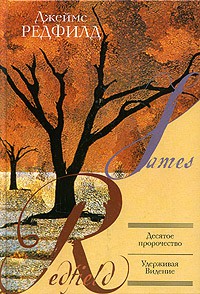 Книга Десятое пророчество