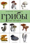 Книга Грибы