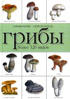 Книга Грибы