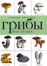 Книга Грибы