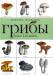 Книга Грибы