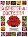 Книга Комнатные растения