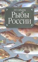 Книга Рыбы России
