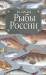 Книга Рыбы России
