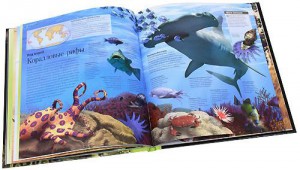 фото страниц Моя первая энциклопедия. Весь мир в ярких красках #4