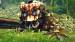 скриншот Enslaved: Odyssey to the West PS3 #5