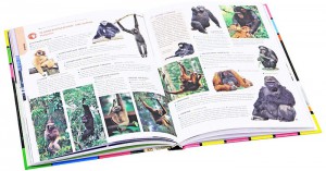 фото страниц Животные всего мира. От больших до маленьких #3