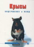 Книга Крысы. Содержание и уход