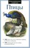 Книга Птицы