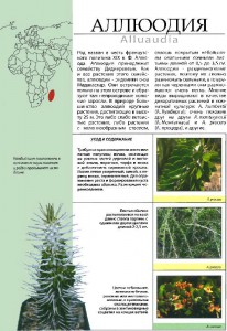 фото страниц Все о суккулентах #3