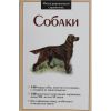 Книга Собаки