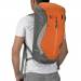 фото Рюкзак Black Diamond Hollowpoint Burnt Orange 20л. #2