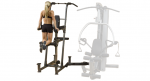 фото Многофункциональная станция PowerLIFT Freeweight Leverage Gym 'FCDWA     Weight-Assisted Dip & Pull-Up' #4