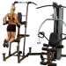 Многофункциональная станция PowerLIFT Freeweight Leverage Gym 'FCDWA     Weight-Assisted Dip & Pull-Up'