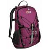 Рюкзак Lowe Alpine AirZone centro ND 25Z boysenberry
