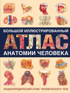 Книга Большой иллюстрированный атлас анатомии человека